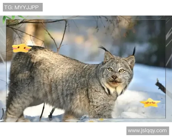 牛津联与艾宁顿的激烈对决谁能在这场比赛中笑到最后